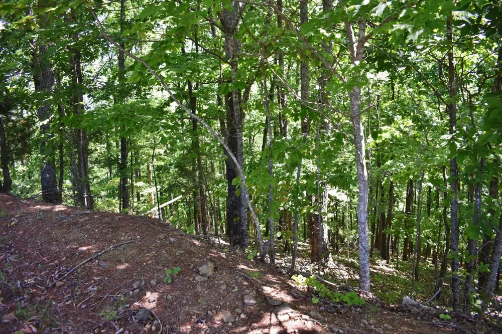 Flint Ridge Road Rockwood, TN 37854
