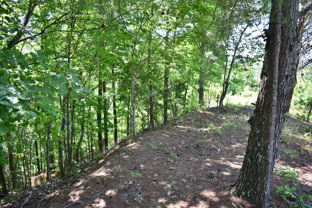 Flint Ridge Road Rockwood, TN 37854