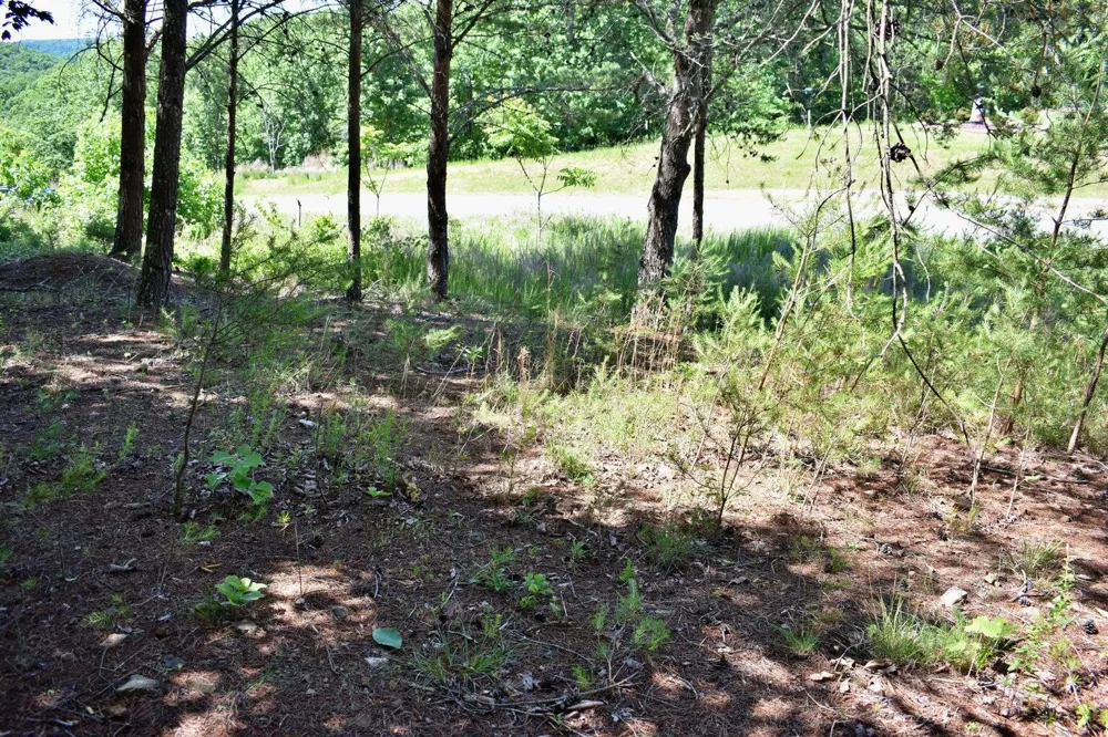Flint Ridge Road Rockwood, TN 37854