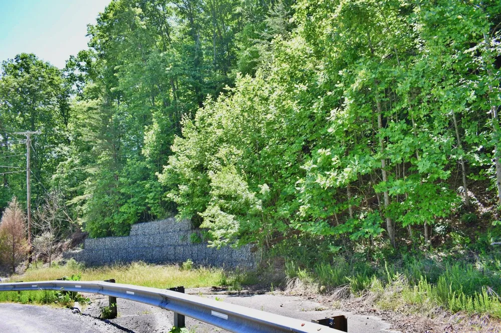 Flint Ridge Road Rockwood, TN 37854