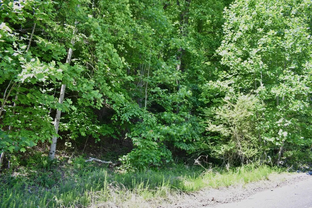 Flint Ridge Road Rockwood, TN 37854