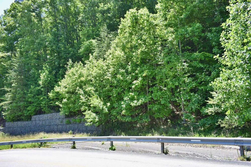 Flint Ridge Road Rockwood, TN 37854