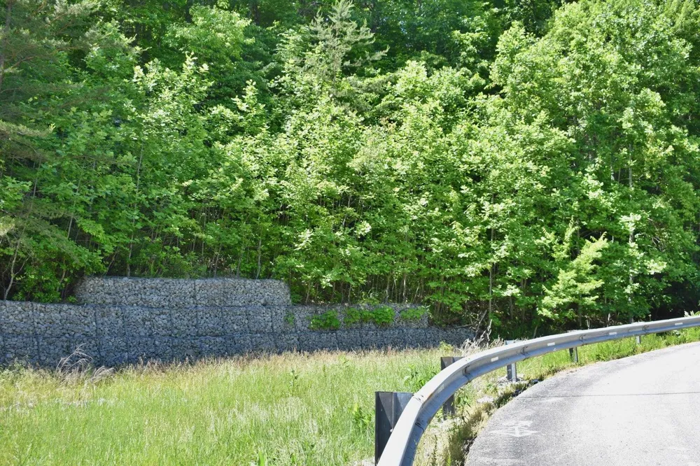 Flint Ridge Road Rockwood, TN 37854