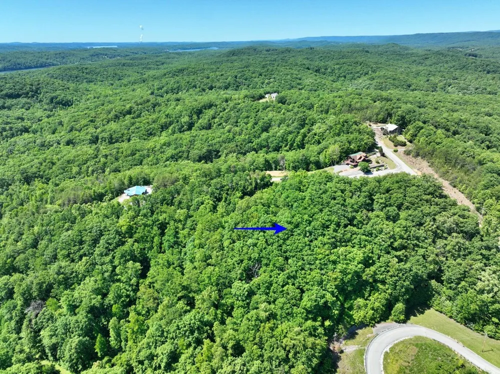 Flint Ridge Road Rockwood, TN 37854