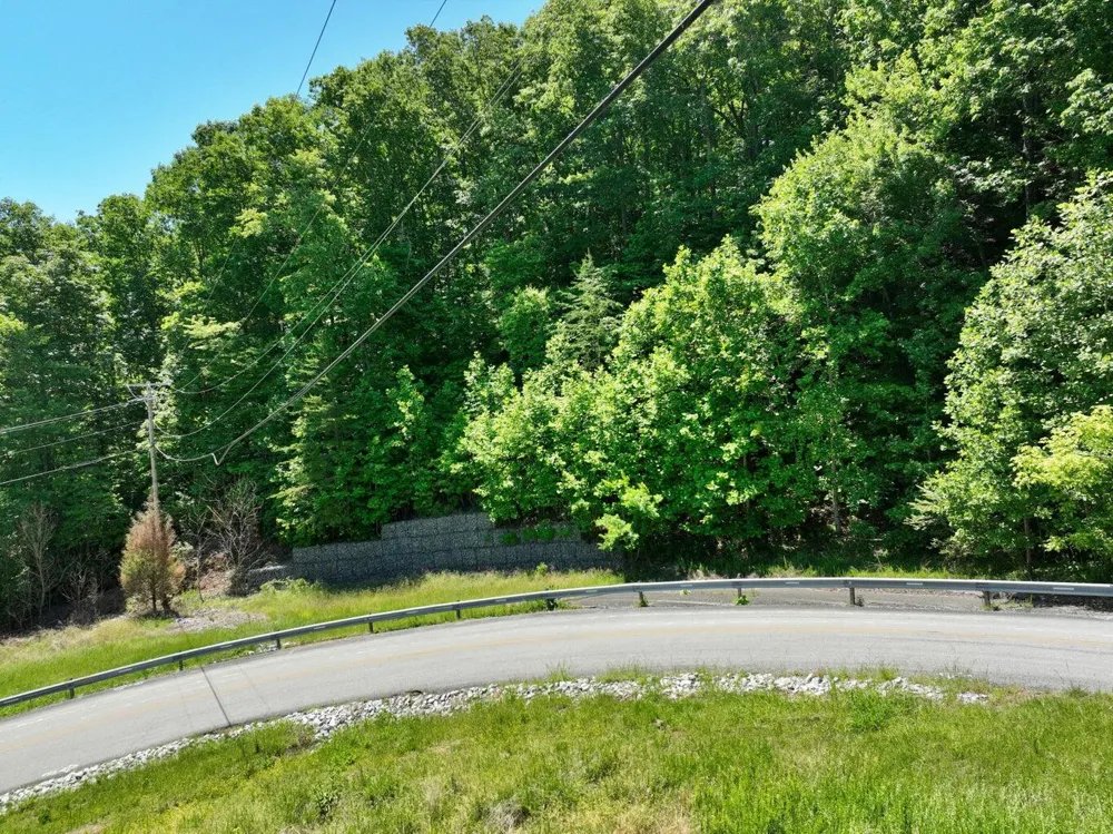Flint Ridge Road Rockwood, TN 37854