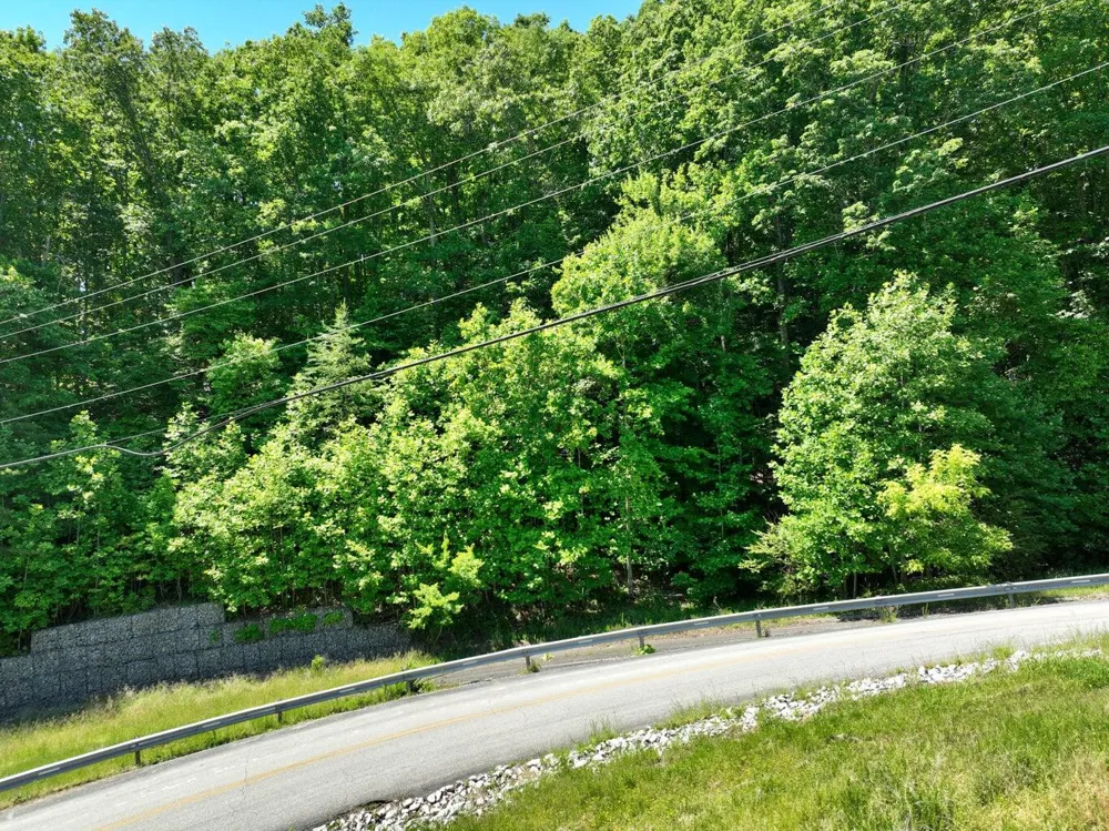 Flint Ridge Road Rockwood, TN 37854