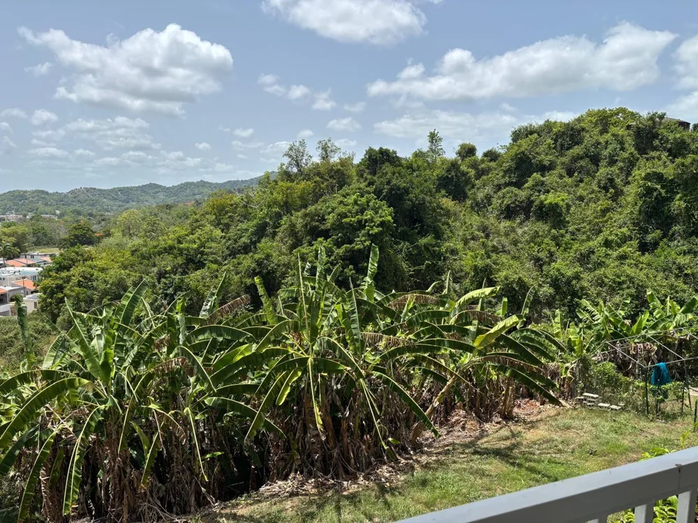 10 URB EL RETIRO Humacao, PR 00791