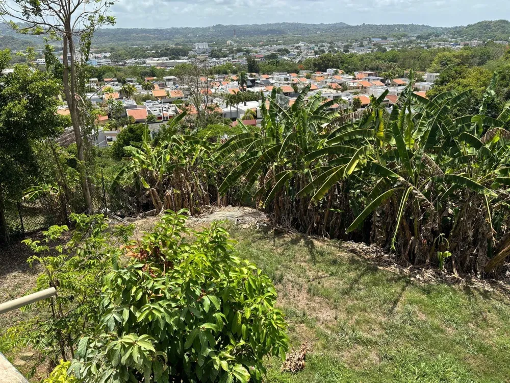 10 URB EL RETIRO Humacao, PR 00791