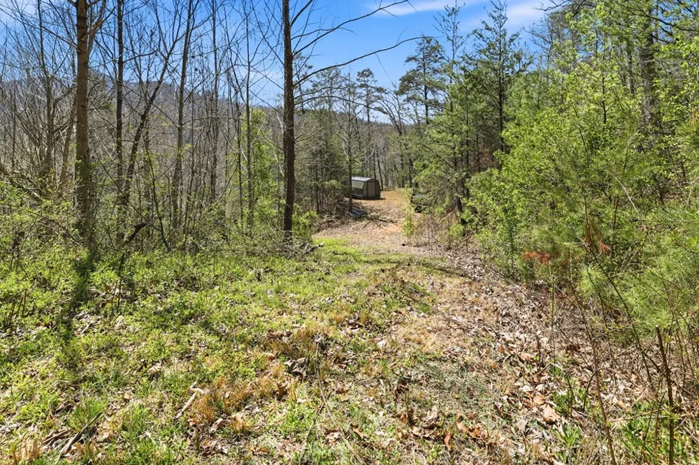 Ela Rd Bryson City, NC 28713