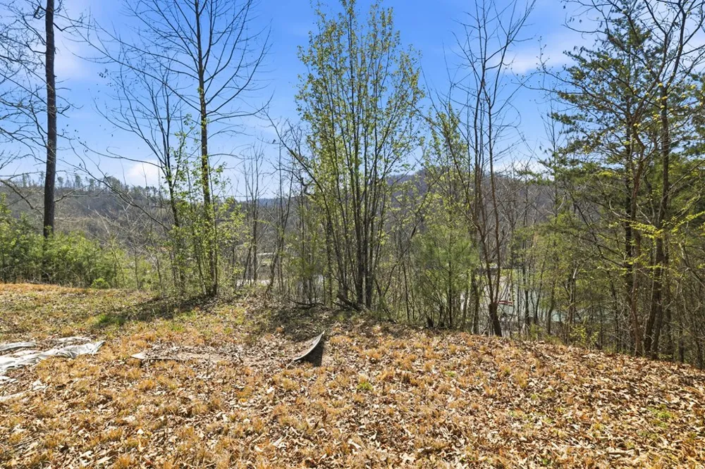Ela Rd Bryson City, NC 28713