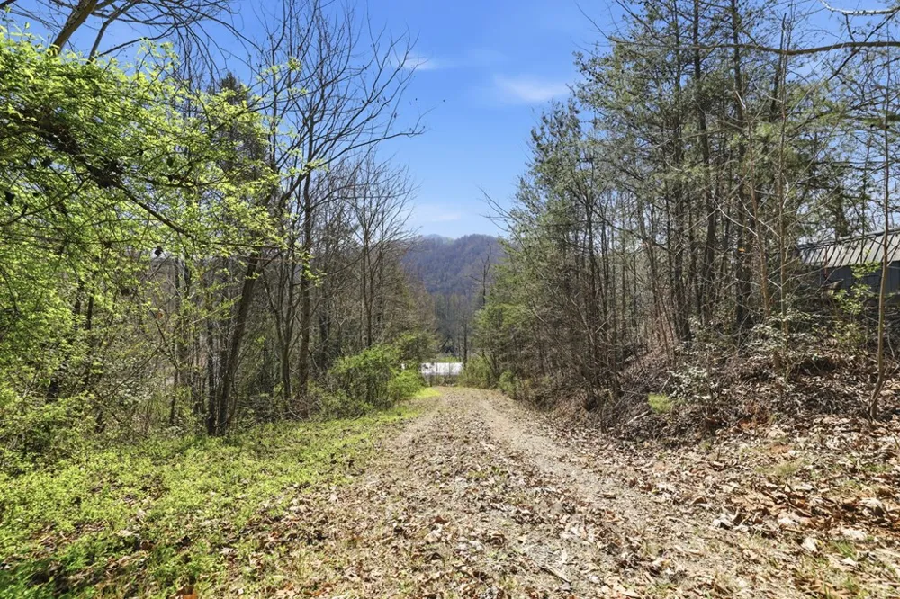 Ela Rd Bryson City, NC 28713