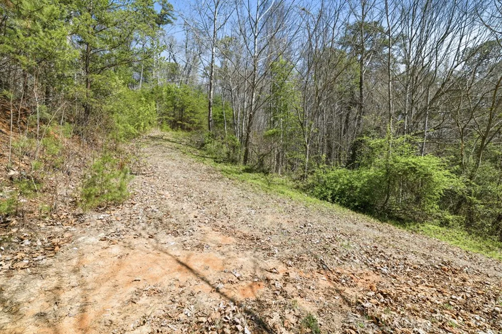 Ela Rd Bryson City, NC 28713