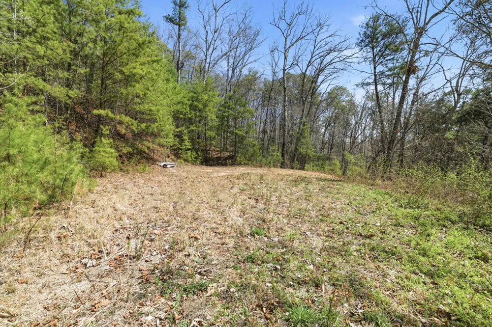 Ela Rd Bryson City, NC 28713