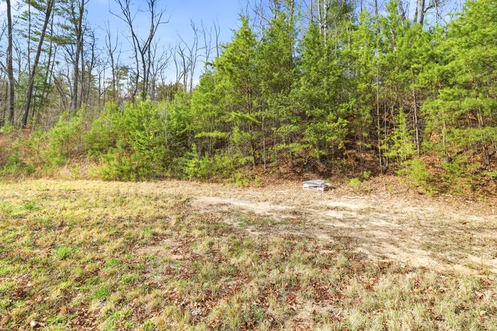 Ela Rd Bryson City, NC 28713