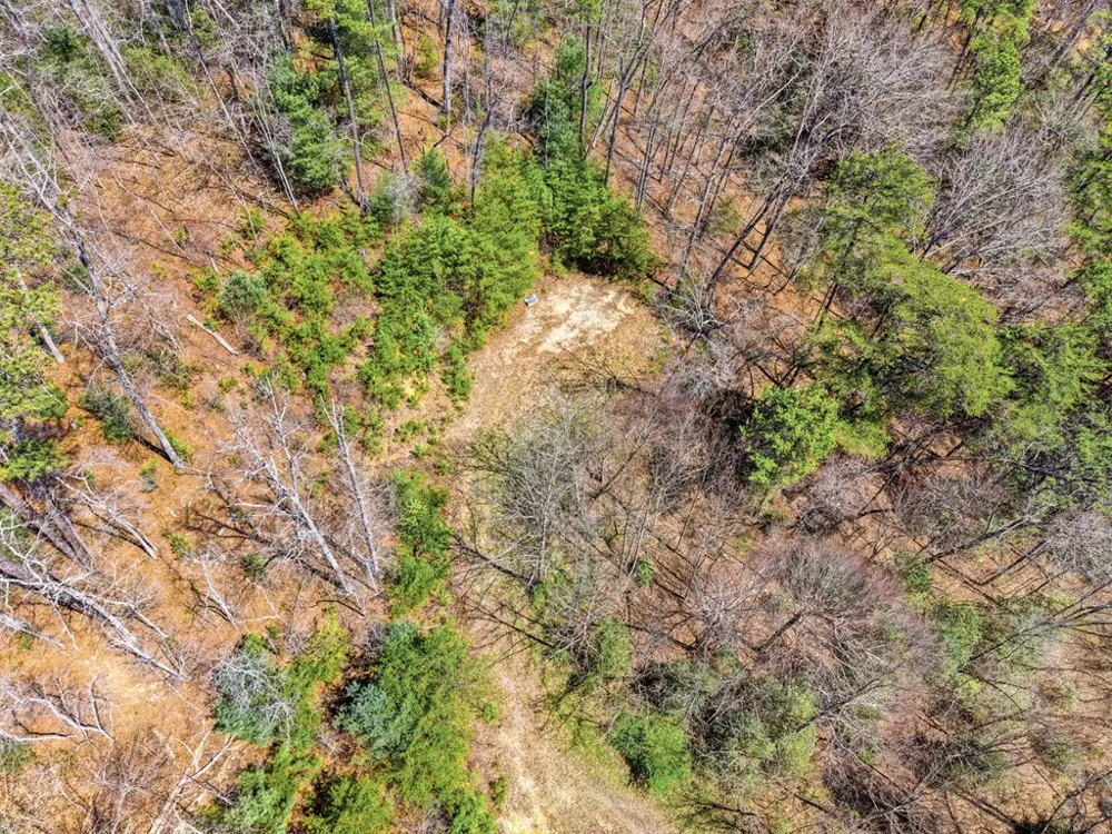 Ela Rd Bryson City, NC 28713