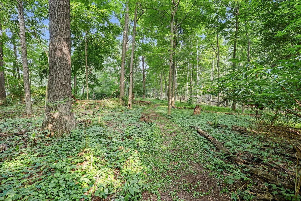 215 Wickenham Drive Spring Arbor, MI 49283