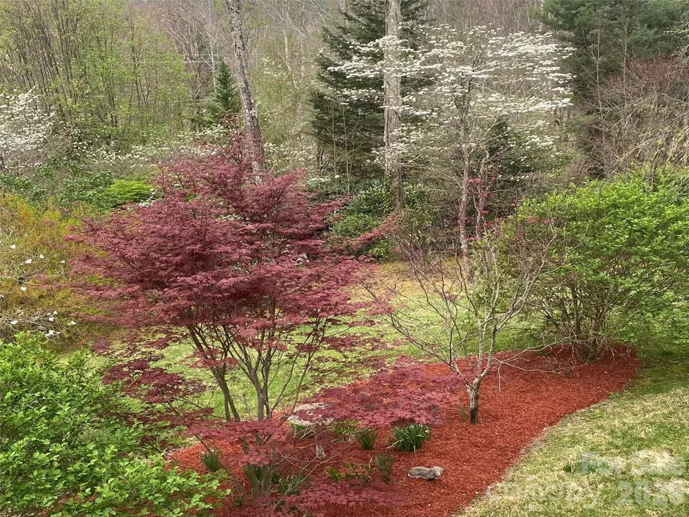 43 Red Oak Drive Maggie Valley, NC 28751
