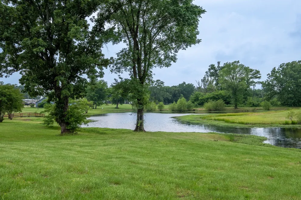 216 Balckfoot Quitman, TX 75783