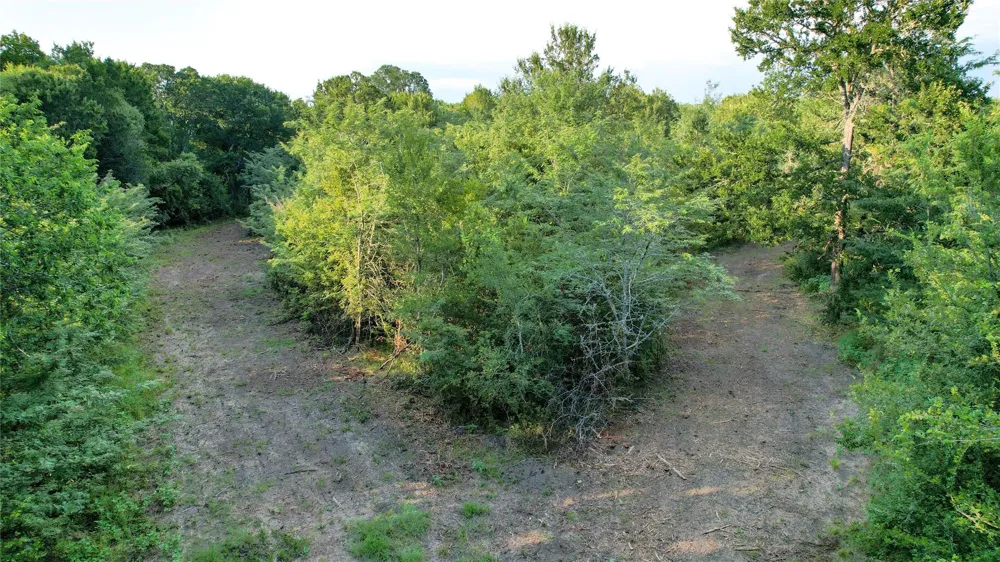 Antioch Road Midway, TX 75852