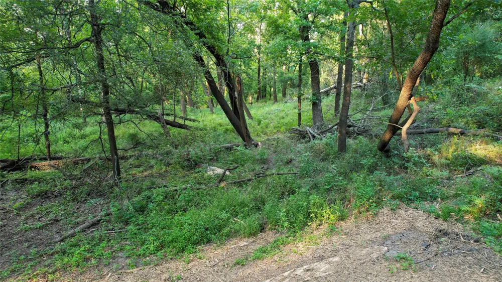 Antioch Road Midway, TX 75852