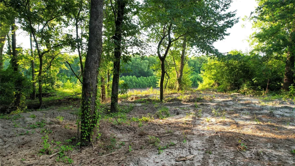 Antioch Road Midway, TX 75852