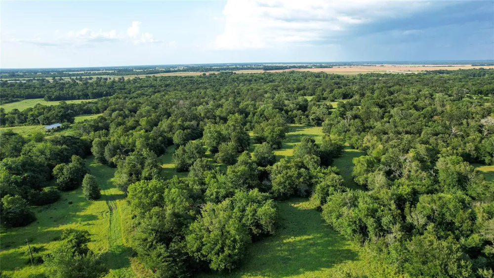 Antioch Road Midway, TX 75852