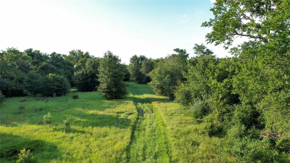 Antioch Road Midway, TX 75852