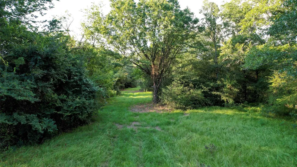 Antioch Road Midway, TX 75852