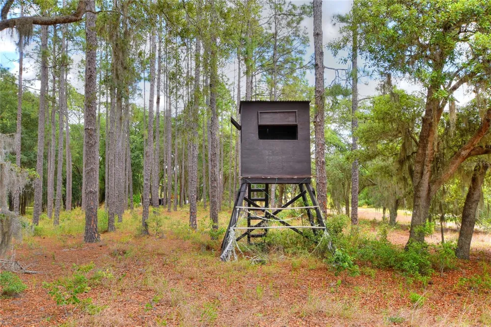 1885 PFUNDSTEIN ROAD Lake Wales, FL 33898