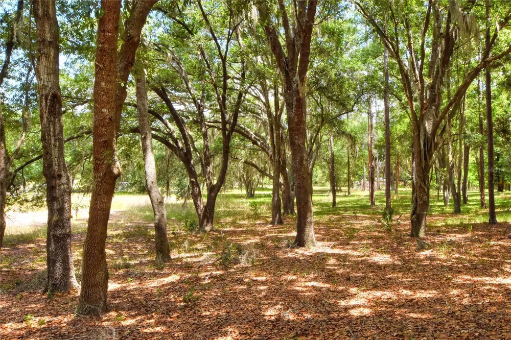 1885 PFUNDSTEIN ROAD Lake Wales, FL 33898