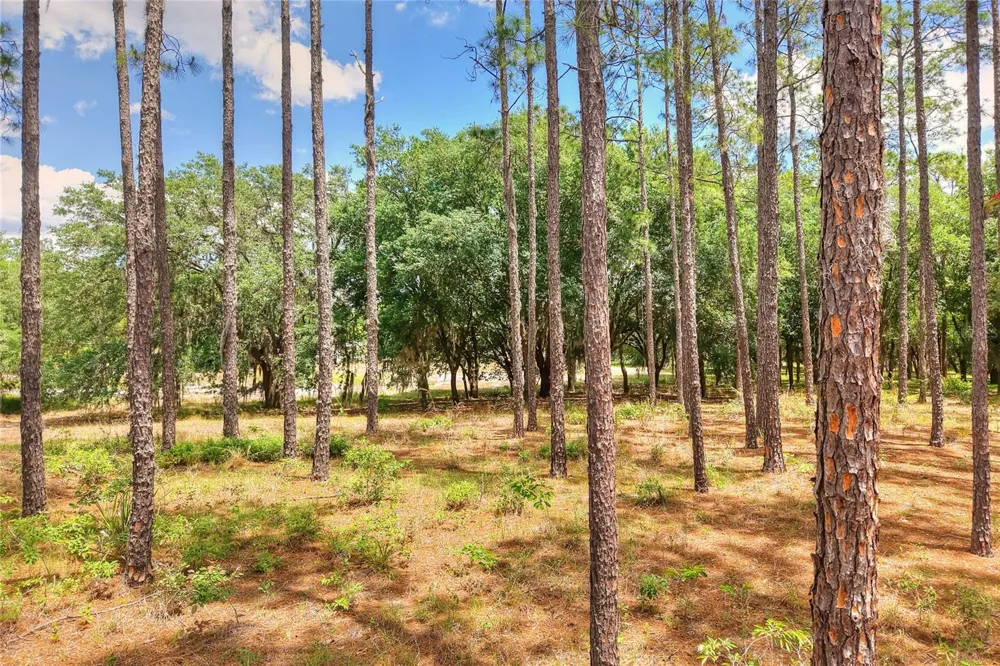 1885 PFUNDSTEIN ROAD Lake Wales, FL 33898