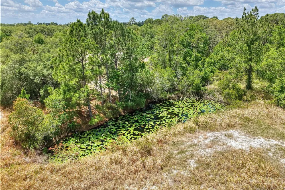 1885 PFUNDSTEIN ROAD Lake Wales, FL 33898