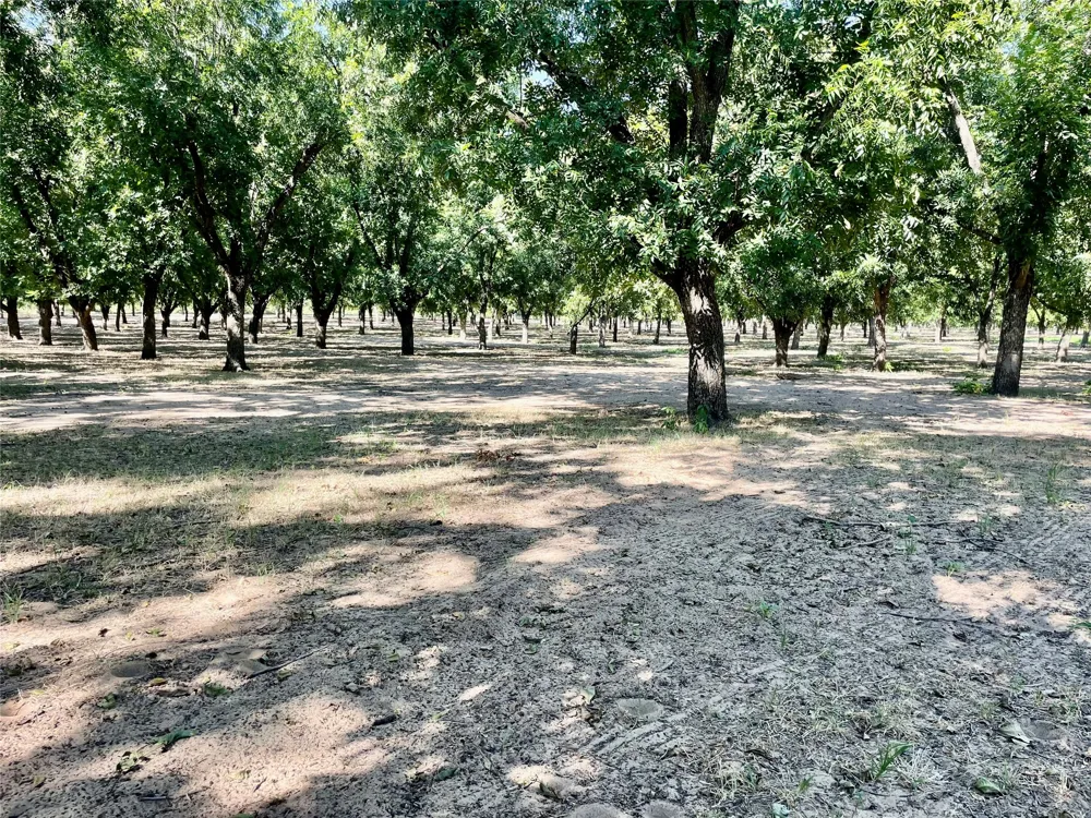 FM 1496 Dublin, TX 76446