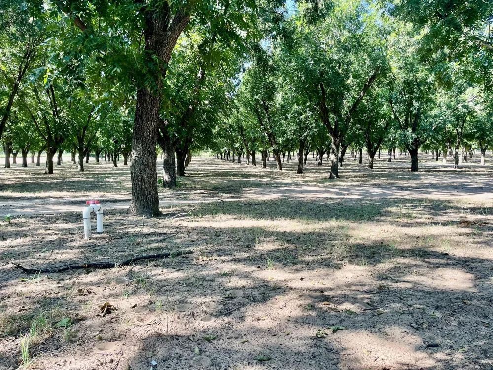 FM 1496 Dublin, TX 76446
