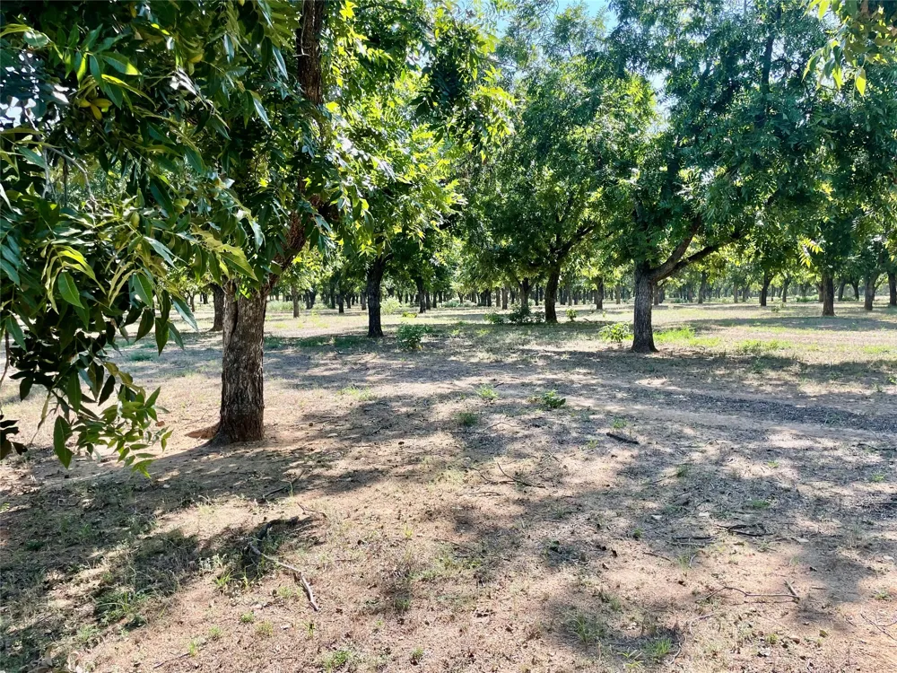 FM 1496 Dublin, TX 76446