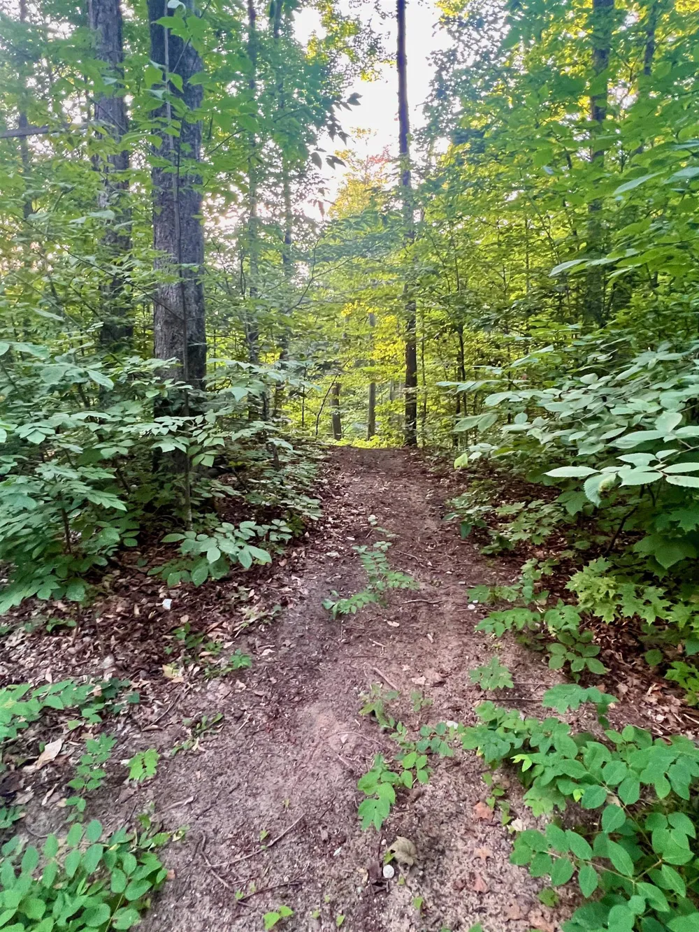 520 E Moorestown Road Norwich Township, MI 49651