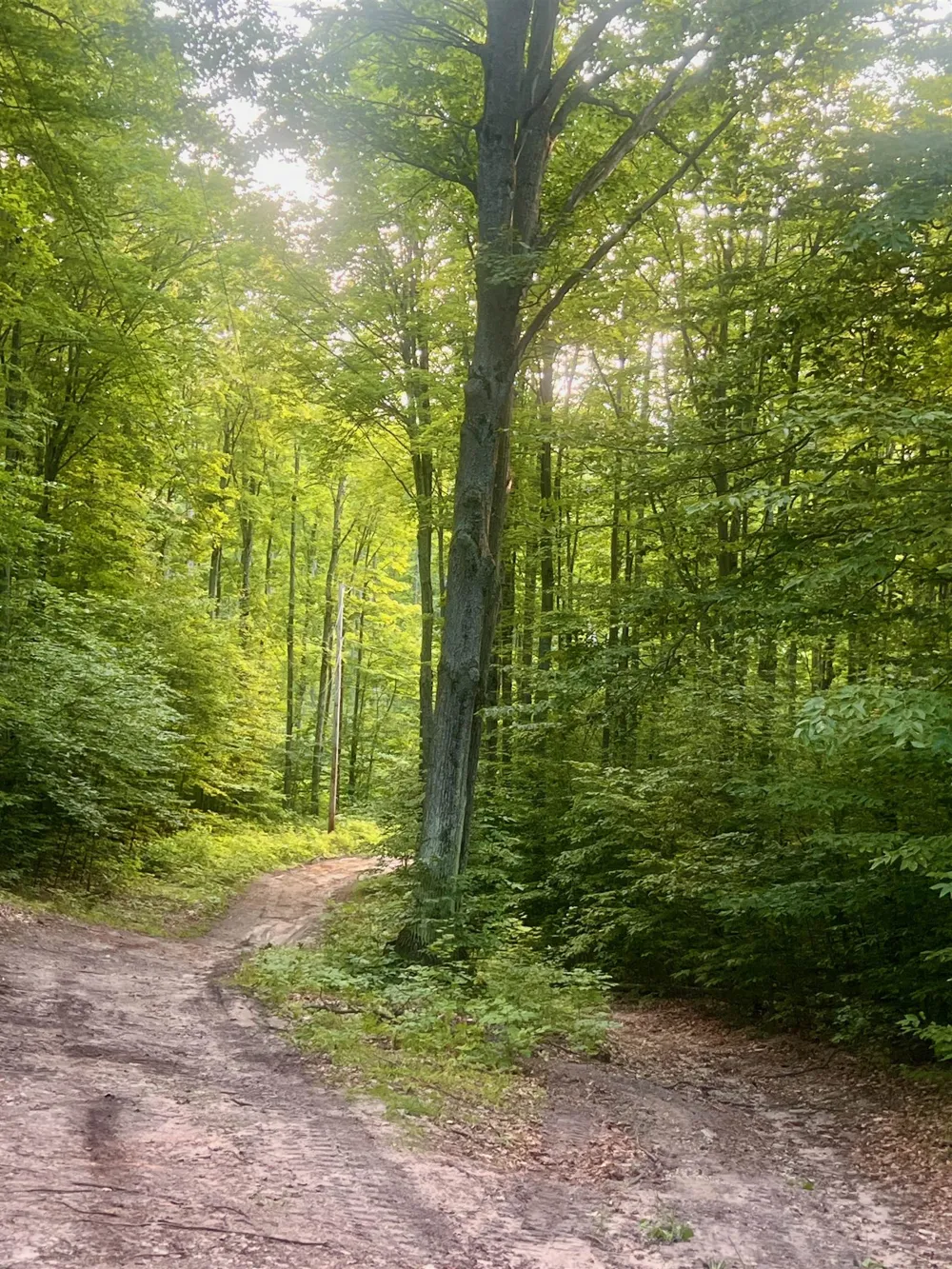 520 E Moorestown Road Norwich Township, MI 49651