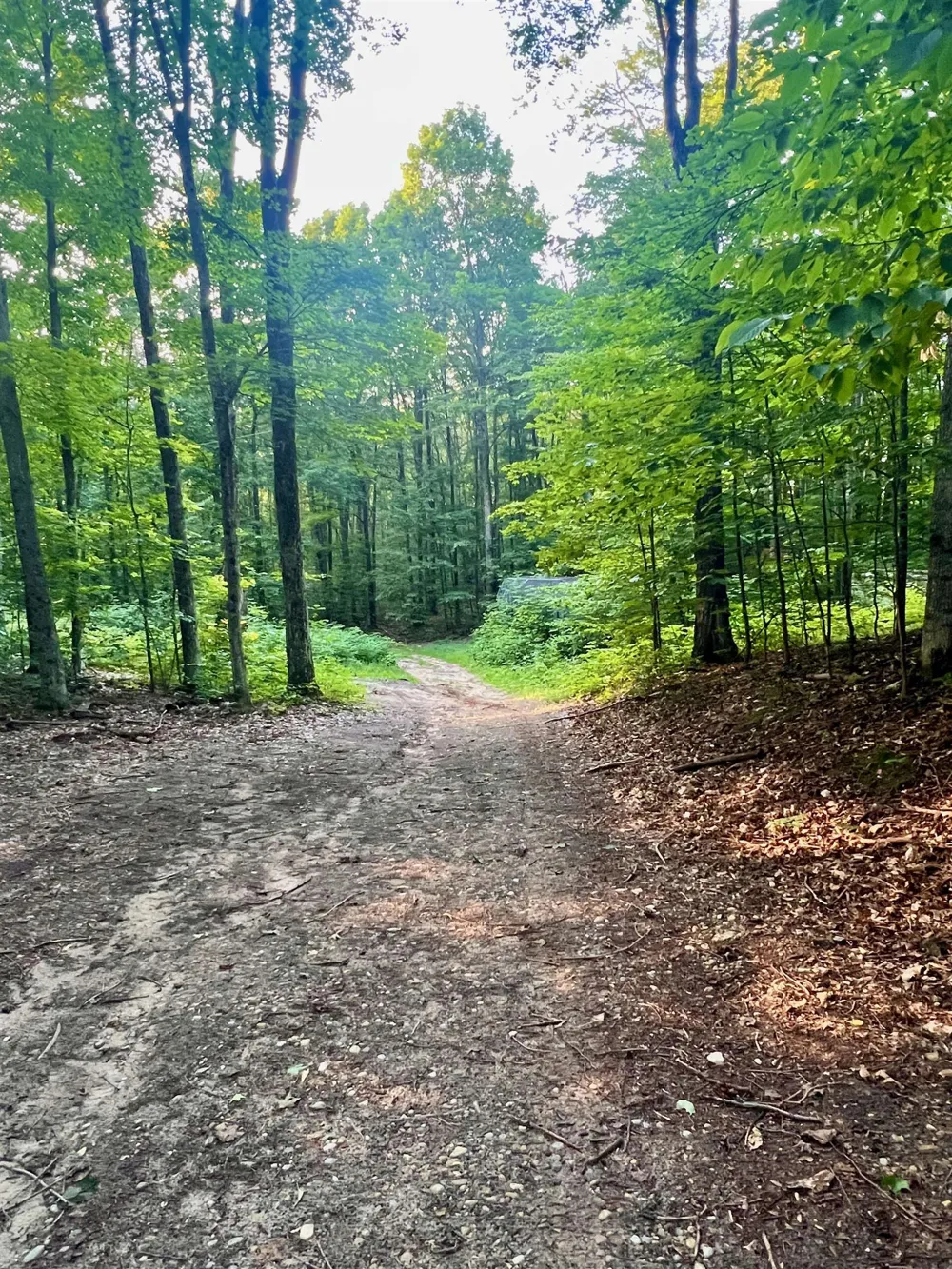 520 E Moorestown Road Norwich Township, MI 49651