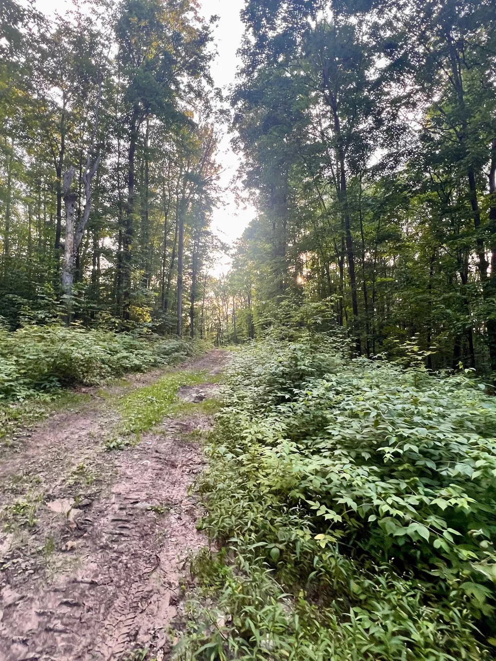 520 E Moorestown Road Norwich Township, MI 49651