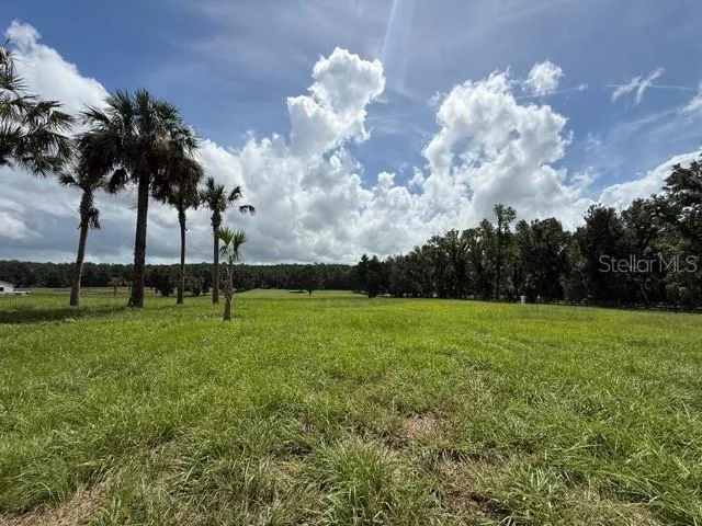 TBD HWY 329 Reddick, FL 32686