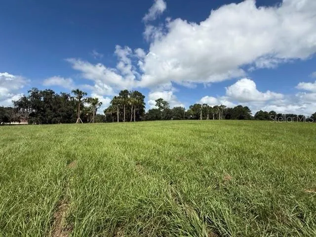 TBD HWY 329 Reddick, FL 32686
