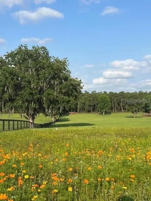 TBD HWY 329 Reddick, FL 32686
