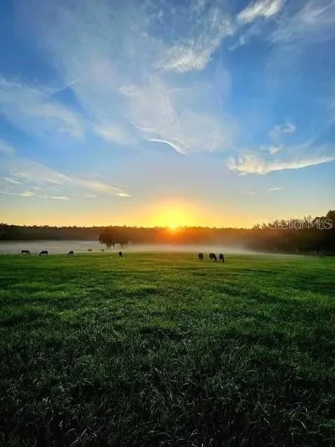 TBD HWY 329 Reddick, FL 32686