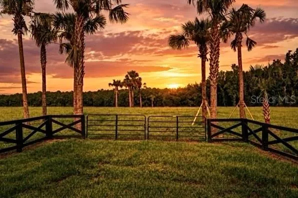 TBD HWY 329 Reddick, FL 32686