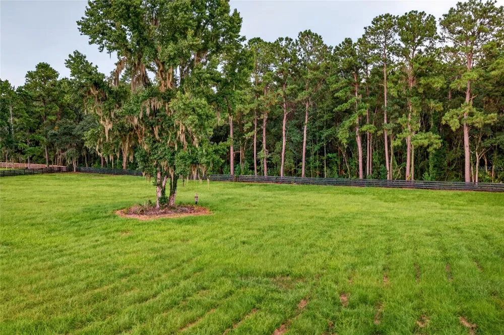 TBD HWY 329 Reddick, FL 32686