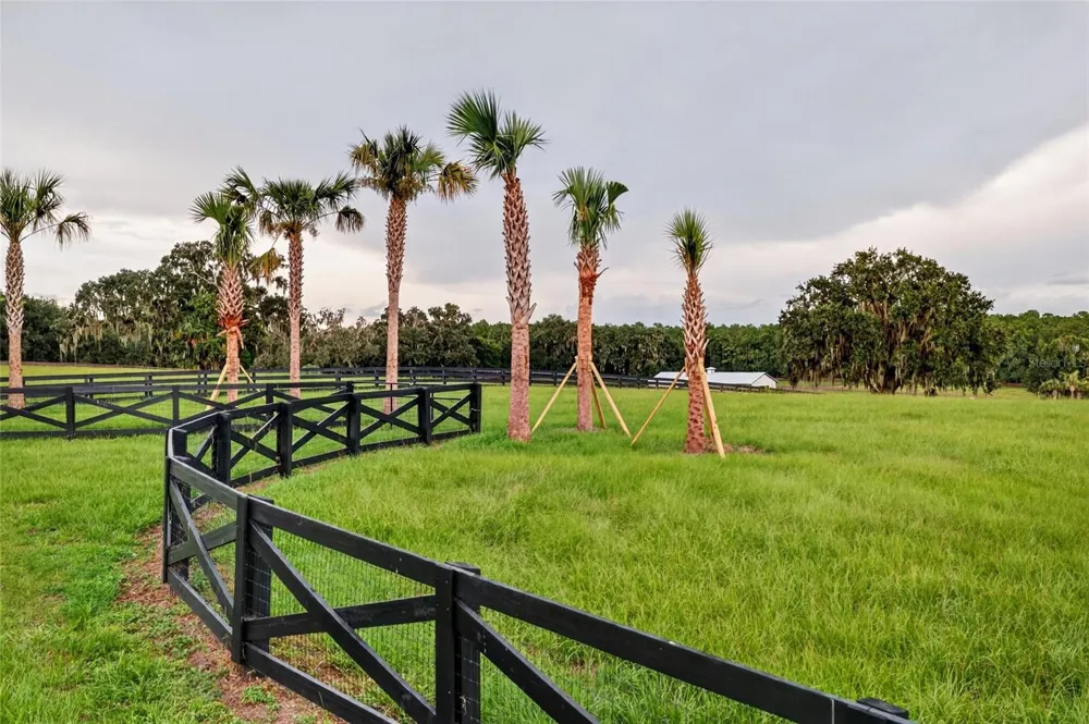 TBD HWY 329 Reddick, FL 32686