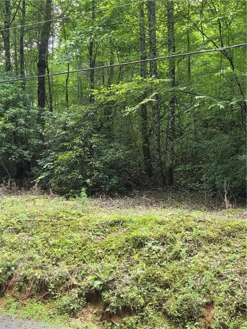 00 Chopped Oak Road