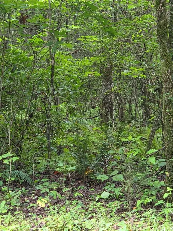 00 Chopped Oak Road Ellijay, GA 30540