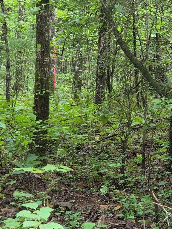 00 Chopped Oak Road Ellijay, GA 30540