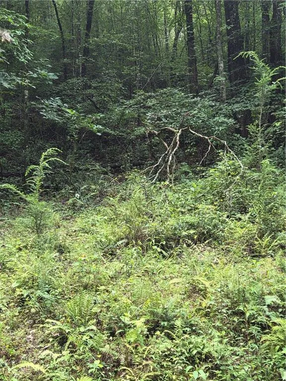 00 Chopped Oak Road Ellijay, GA 30540